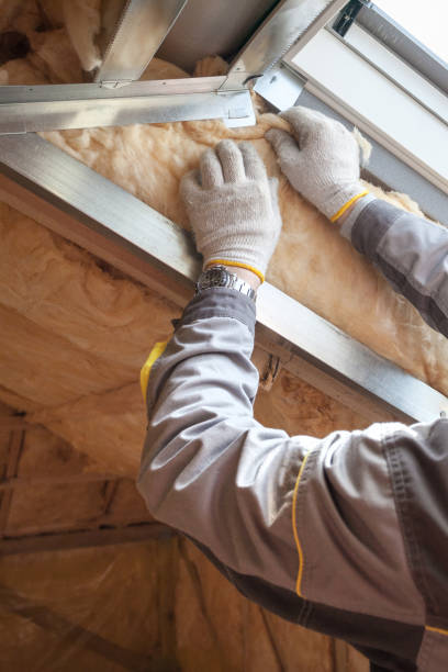 Best Insulation Contractors for Homes  in Memphis, MI