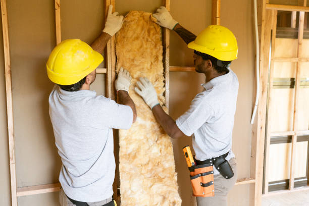 Best Insulation Inspection Services  in Memphis, MI