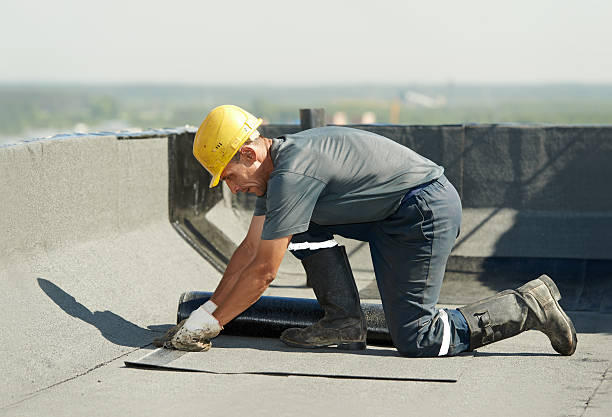 Best Professional Insulation Contractor  in Memphis, MI
