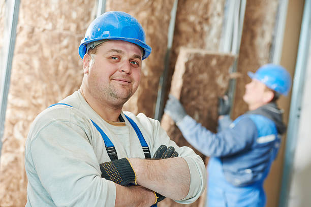 Best Affordable Insulation Services  in Memphis, MI